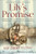 Lily's Promise (Holding On to Hope Through Auschwitz and Beyond-A Story for All Generations) by Lily Ebert, Dov Forman, 9780063230293