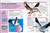 Pocket Genius Birds of North America by DK, 9780744058086