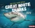 On the Hunt with Great White Sharks by Sandra Markle, 9781728456249