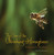 The Case of the Vanishing Honeybees (A Scientific Mystery) - 9781728467085 by Sandra Markle, 9781728467085