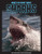What's So Scary about Sharks? by Joanne Mattern, 9781643711652