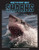 What's So Scary about Sharks? - 9781643711690 by Joanne Mattern, 9781643711690