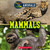 Mammals (Wild World: Fast and Slow Animals) - 9781338836592 by Eric Geron, 9781338836592