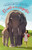 El canto de los elefantes / Singing with Elephants (Spanish Edition) by Margarita Engle, Alexis Romay, 9781644735909