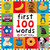 Big Board First 100 Words (An essential first-learning book) by Roger Priddy, 9780312495411