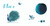 Here We Are: Book of Colors by Oliver Jeffers, Oliver Jeffers, 9780593527887