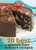 Betty Crocker 20 Best Gluten-Free Dessert Recipes by Betty Crocker, 9780544314818
