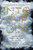 Into the Dim - 9781328696038 by Janet B. Taylor, 9781328696038