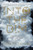 Into the Dim - 9781328696038 by Janet B. Taylor, 9781328696038