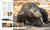 Animal (The Definitive Visual Guide) by DK, 9780744063189