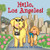 Hello, Los Angeles! by Martha Day Zschock, 9781938700606