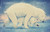 I'll Be Your Polar Bear by Justin Roberts, Chuck Groenink, 9780525516392