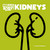 Kidneys by Joyce Markovics, 9781668911211