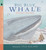 Big Blue Whale (Read and Wonder) by Nicola Davies, Nick Maland, 9780763610807