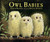 Owl Babies Big Book by Martin Waddell, Patrick Benson, 9780763612832