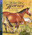 A Field Full of Horses (Read and Wonder) by Peter Hansard, Kenneth Lilly, 9780763614348