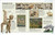 Art Year by Year (A Visual History, From Cave Paintings to Street Art) by DK, 9780744060126