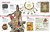 Art Year by Year (A Visual History, From Cave Paintings to Street Art) by DK, 9780744060126