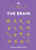 Simply The Brain by DK, 9780744060119