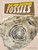 Dig and Discover Fossils - 9781666342505 by Anita Nahta Amin, 9781666342505