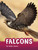 Falcons - 9781666342758 by Jaclyn Jaycox, 9781666342758