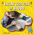Facing Your Fear of Blood - 9781666355499 by Heather E. Schwartz, 9781666355499