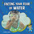 Facing Your Fear of Water by Heather E. Schwartz, 9781666355604
