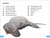 DK Super Readers Level 4 Dinosaur Detectives - 9780744065909 by DK