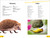 DK Super Readers Level 2 Animals at Home - 9780744068054 by DK