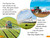 DK Super Readers Level 1 A Year on the Farm - 9780744073973 by DK