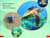 DK Super Readers Pre-Level Save the Sea Turtles - 9780744072709 by DK