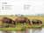 DK Super Readers Level 1 Animal Feeding Time - 9780744066944 by DK