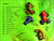 DK Super Readers Level 1 Frogs and Toads - 9780744072754 by DK