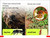 DK Super Readers Pre-Level Save the Bees - 9780744072150 by DK