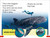 DK Super Readers Pre-Level Little Sharks Big Sharks - 9780744073362 by DK
