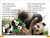 DK Super Readers Level 1 Save the Pandas - 9780744074932 by DK