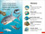 DK Super Readers Pre-Level Little Sharks Big Sharks - 9780744073355 by DK