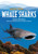 Save the...Whale Sharks - 9780593404270 by Anita Sanchez, Chelsea Clinton, 9780593404270