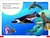 DK Super Readers Pre-Level Ocean Animals - 9780744072983 by DK