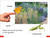 DK Super Readers Pre-Level Garden Friends - 9780744066555 by DK