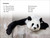 DK Super Readers Level 2 The Great Panda Tale - 9780744067217 by DK