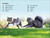 DK Super Readers Level 2 Cats and Kittens - 9780744071016 by DK