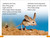 DK Super Readers Level 1 Desert Plants and Animals - 9780744071849 by DK