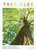 Tree Glee (How and Why Trees Make Us Feel Better) by Cheryl Rickman, Cheryl Rickman, 9781801291170