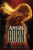 Angel Burn by L.A. Weatherly, 9780763656522