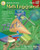 Math Engagement, Grade 5 (Teacher Resource and Student Activities) by Melissa J. Owen, 9781580372336