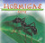 Hormigas (Ants) (Spanish Edition) - 9781595156945 by Jason Cooper, 9781595156945
