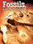 Fossils (Uncovering The Past) by Meg Greve, 9781617419843