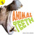 Animal Teeth by Michelle  Garcia Andersen, 9781641561907