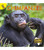 Chimpanzee - 9781731604460 by Lisa  Jackson, 9781731604460
